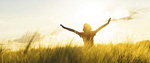 silhouette of a person holding up arms in a field